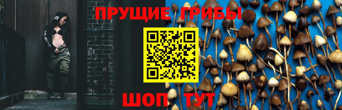 Псилоцибиновые грибы Psilocybe Феодосия