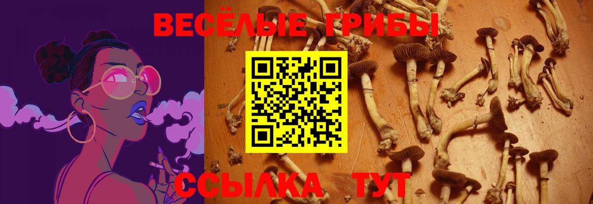 Феодосия  Галлюциногенные грибы ЛСД  Псилоцибиновые грибы MAGIC MUSHROOMS  Вход с VPN 